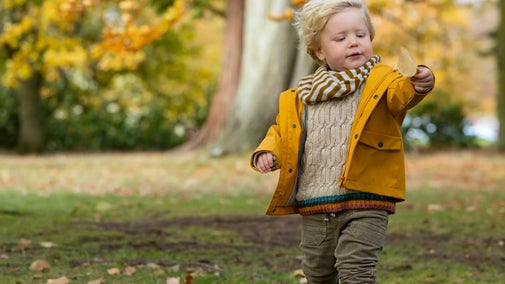 Autumn at Gunby Estate, Hall and Gardens